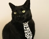 决胜手,浙江队压哨奇迹!西亚卡姆从阴影走到聚光灯下