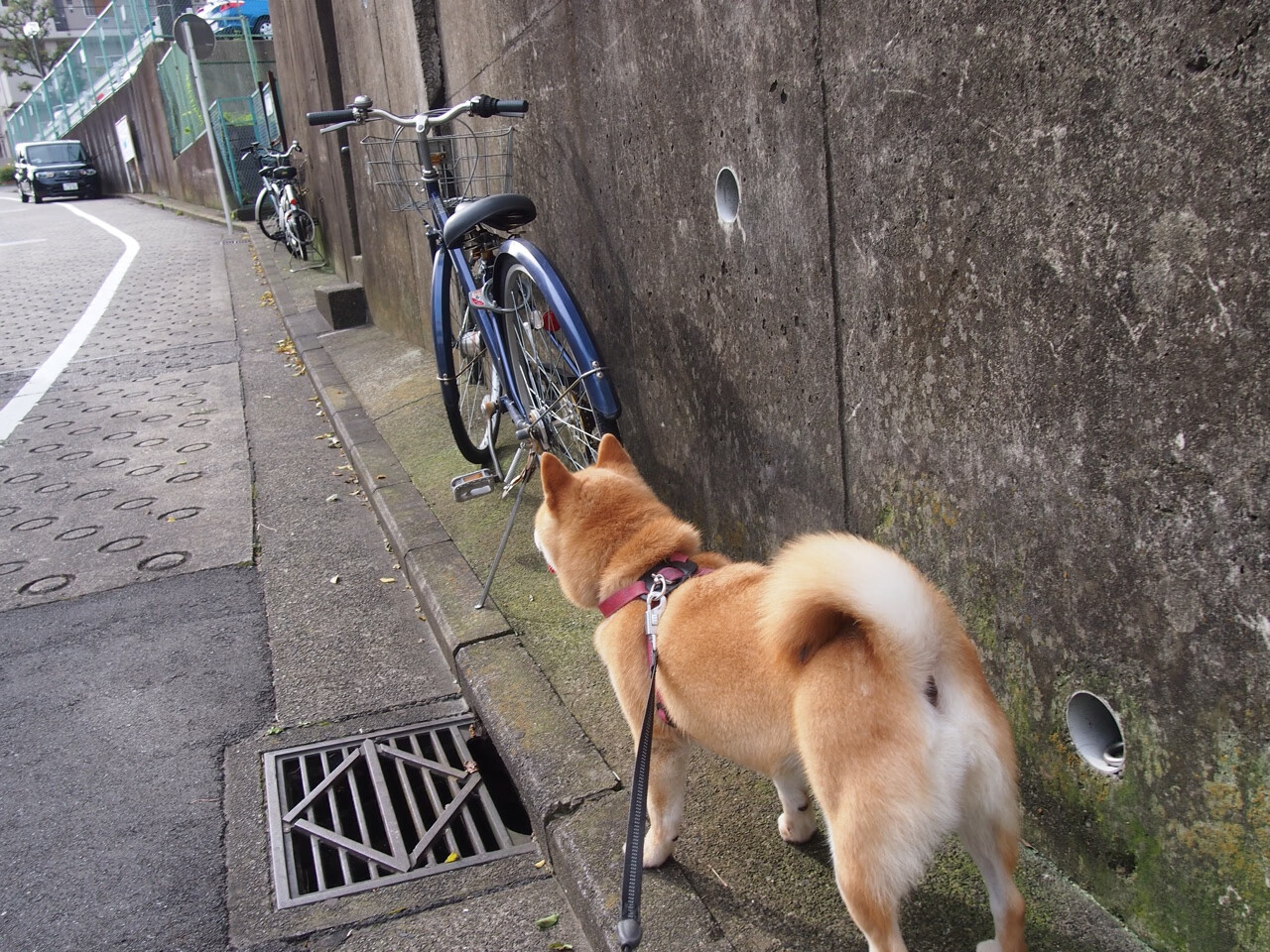 虚构巅峰战,广东队的铁血联防,在杜兰特的节奏魔法前化为齑粉