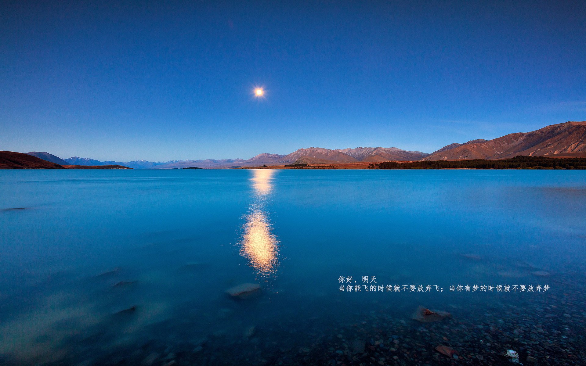 神奇剧本！安哥拉决胜局12-0攻势带走希腊，哈弗茨化身关键先生