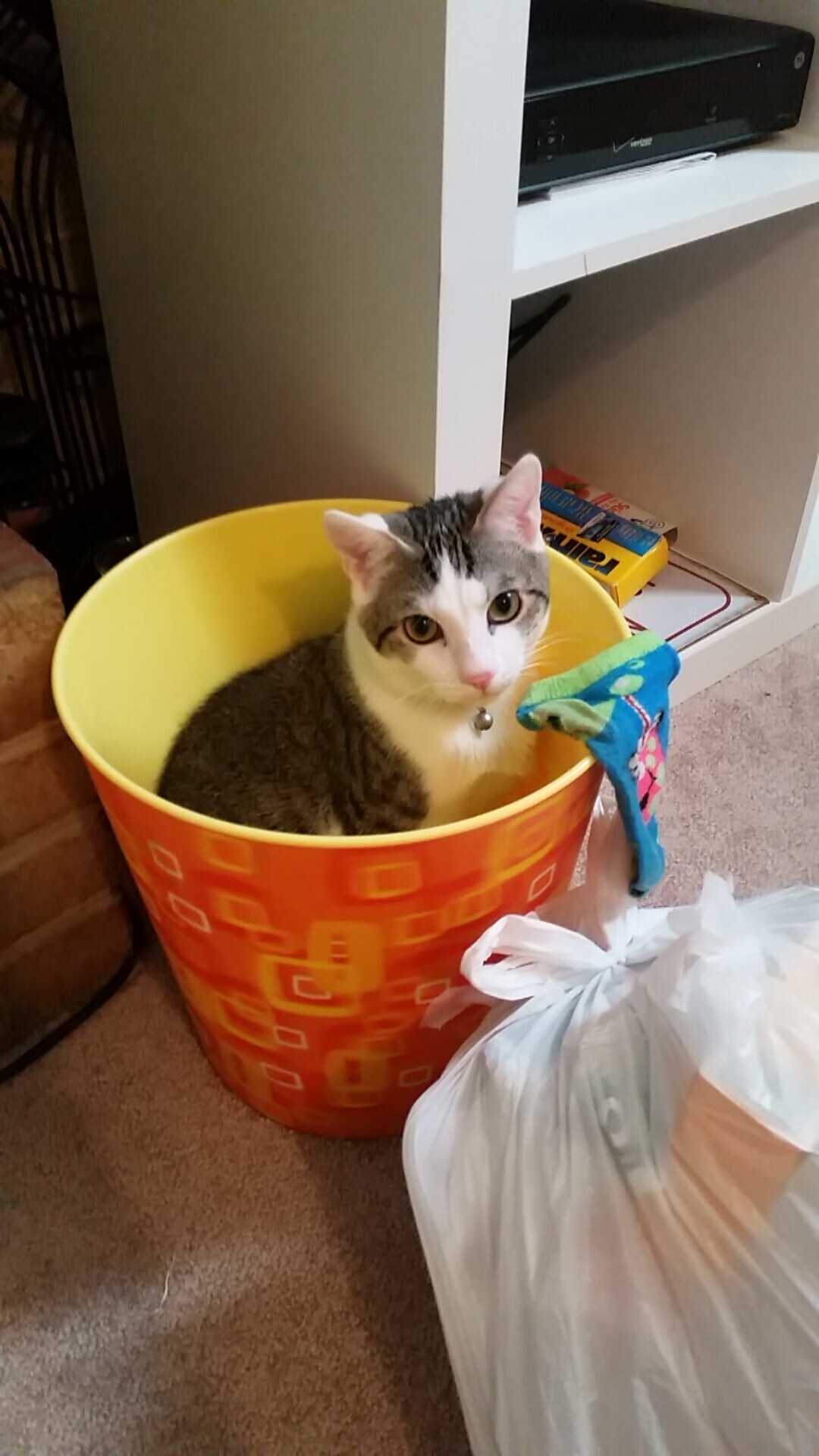 双赛记，锡安全面统治战与太阳的节奏哲学