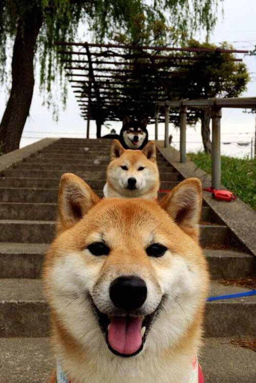 37分撕裂密尔沃基夜空，最后1.9秒，乔治用一记罚球拯救圣安东尼奥