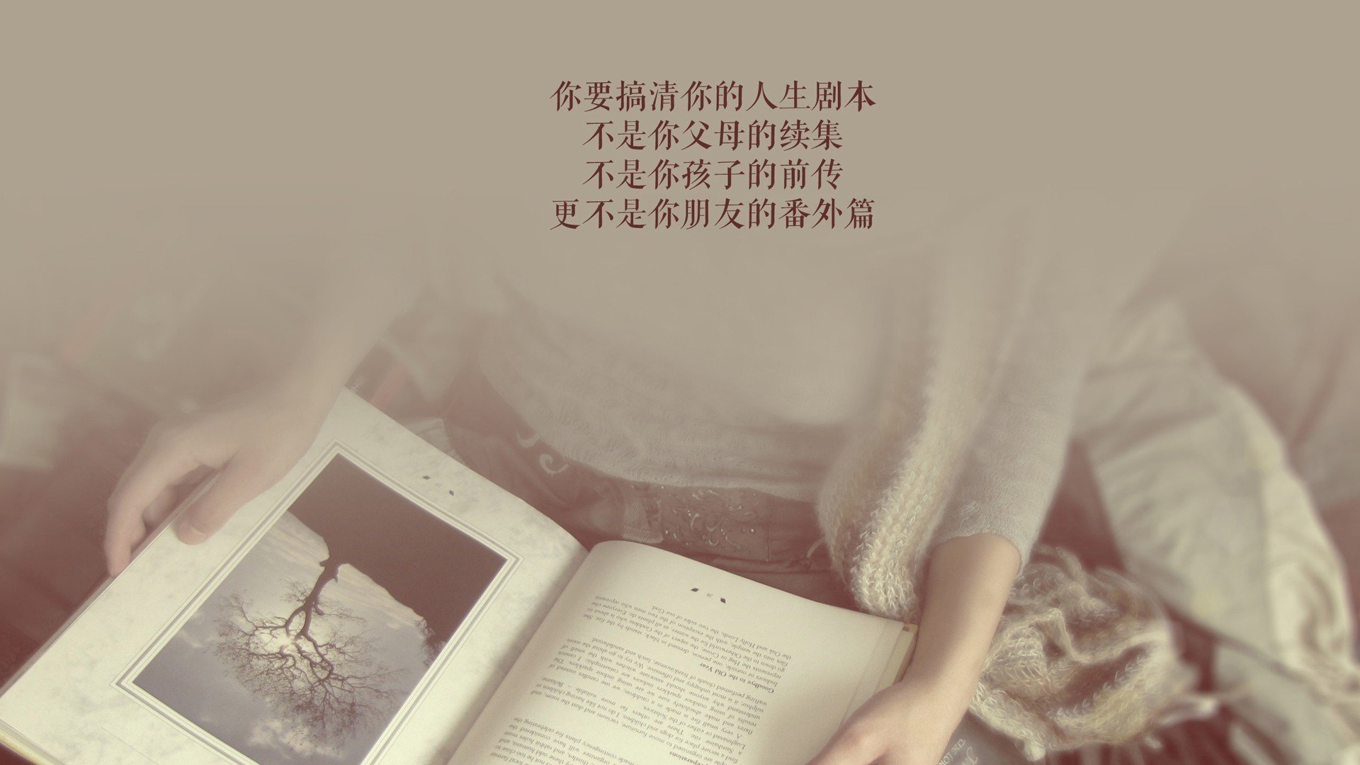孤岛上的灯塔,坎塞洛如何定义2026世界杯C组的第一次强强对话?